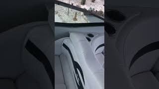 Cockpit and Interior Walk Thru